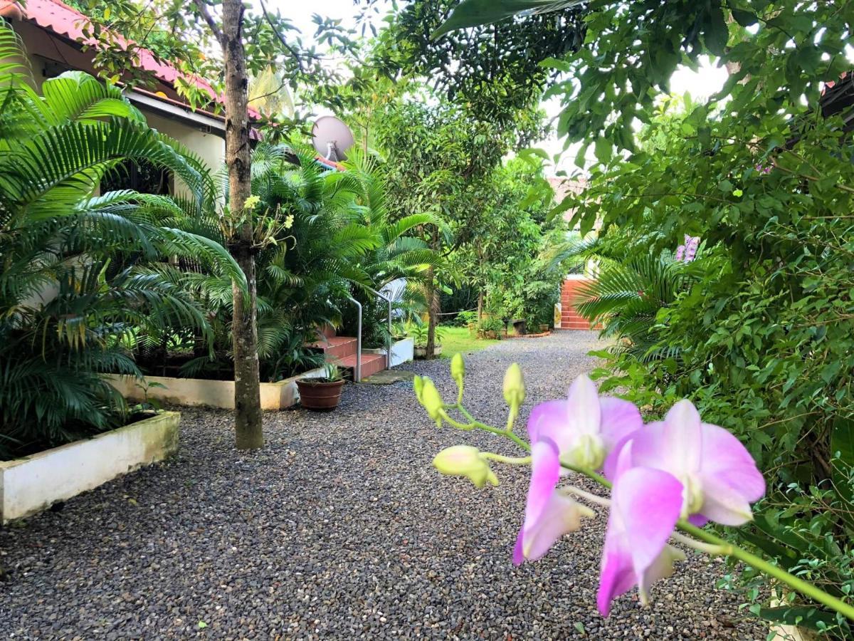 Green Mango Bungalows Кампот Екстер'єр фото